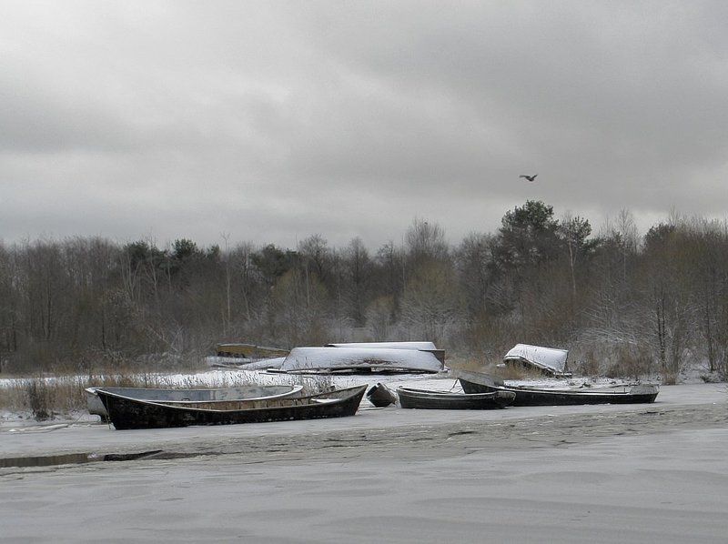 Невостребованность (из цикла \