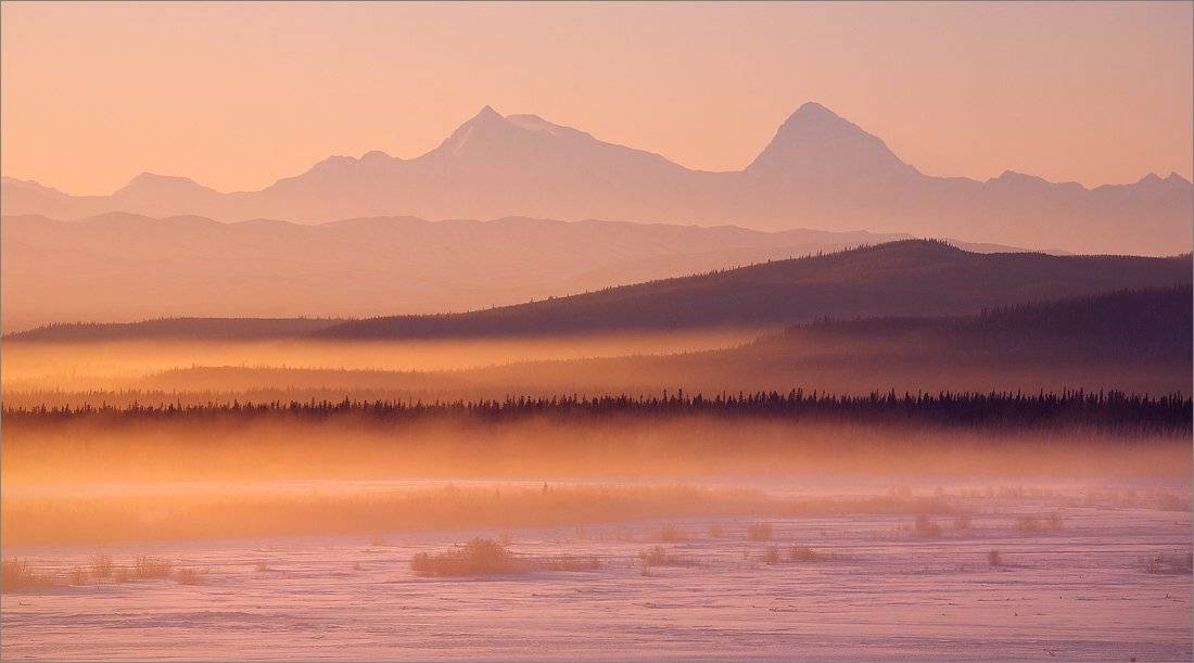 alaska, tundra, denali, Ben Marar