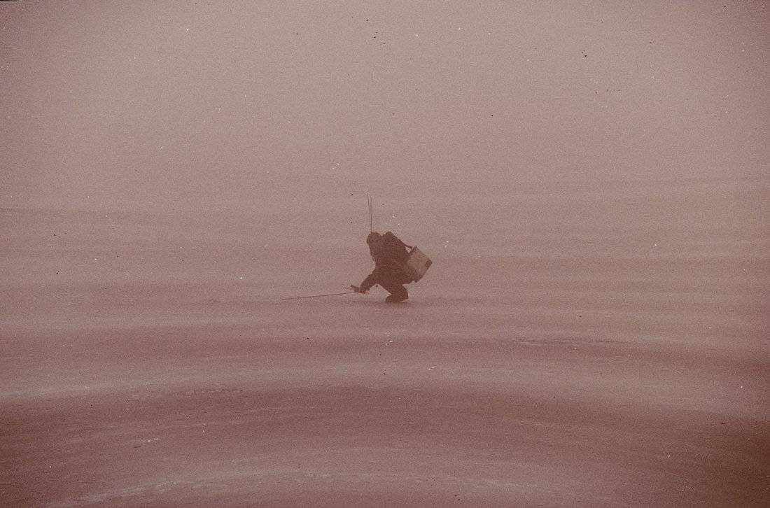 , Полищук И.В.