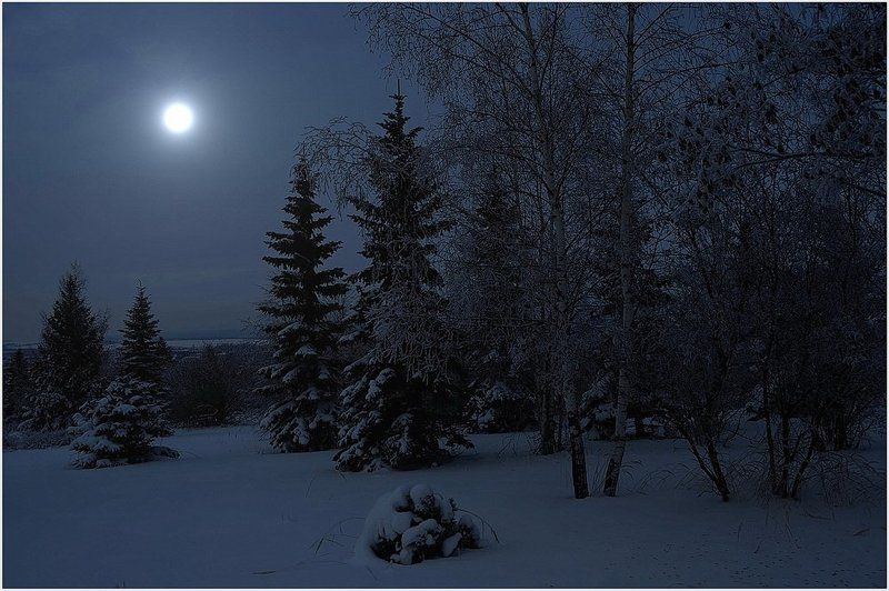 Вдруг,откуда то там из за елки. фото превью