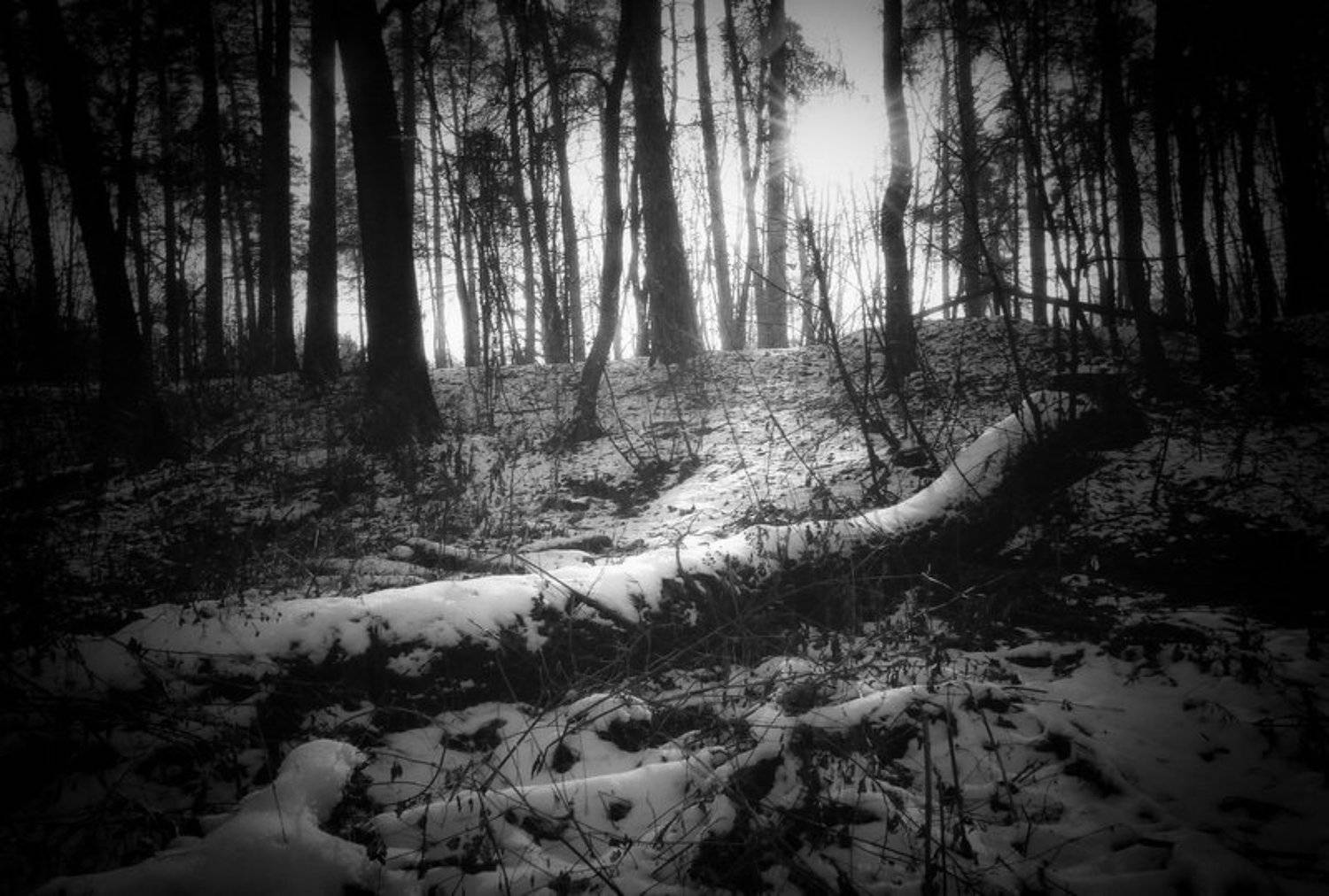 , Игорь Филипенко