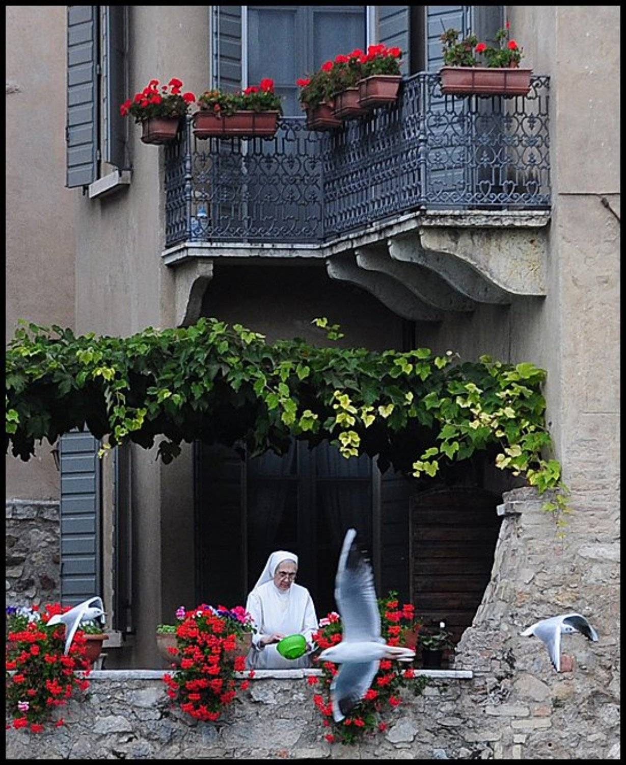 итальянка, борис ташлицкий