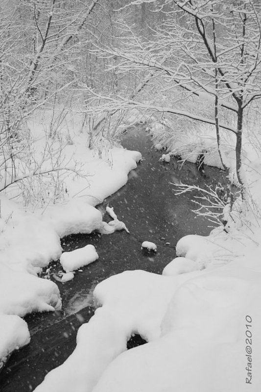 Тихо в лесу журчащий ручей фото превью