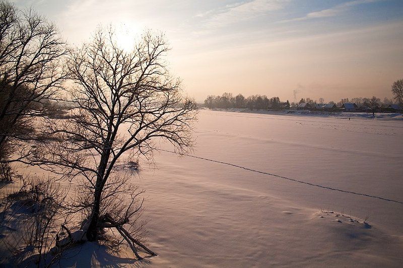 западная сибирь, р. томь, декабрь, мороз, -25 Мороз и солнце... фото превью