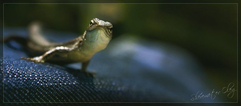 На позитиве) фото превью