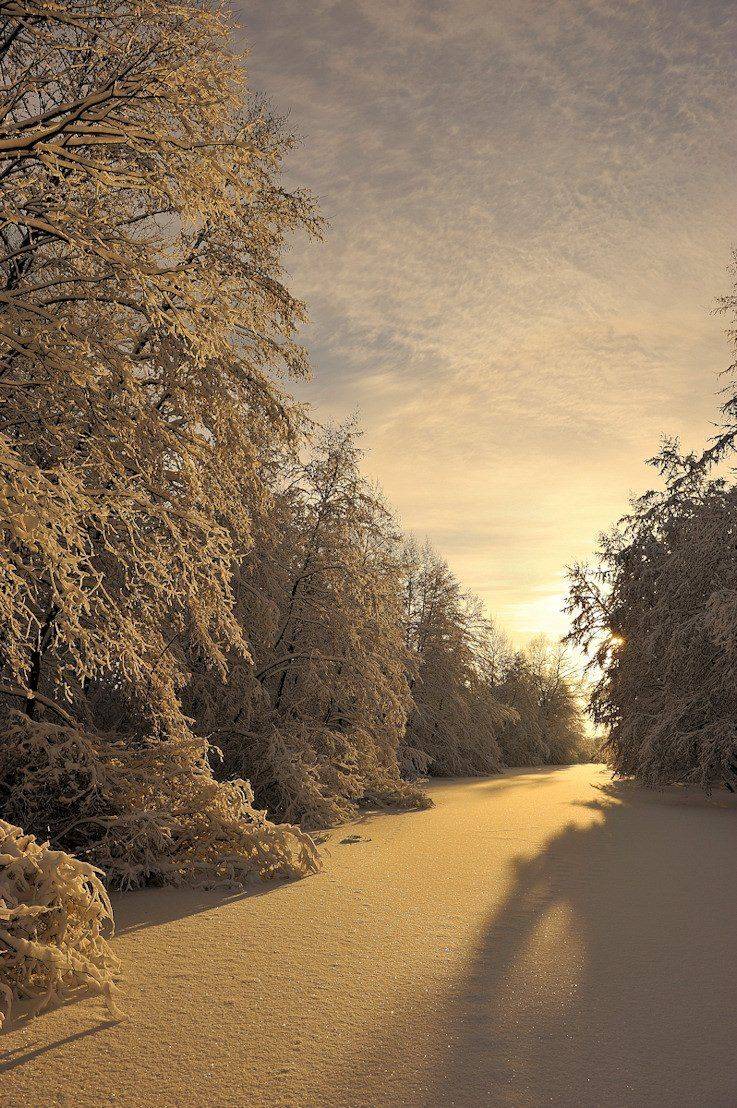 , Андрей Балабин