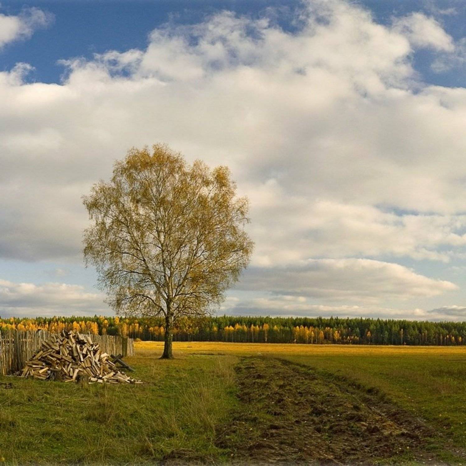 , Александр Виноградов