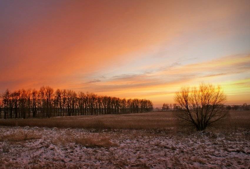 , Лана Тополева