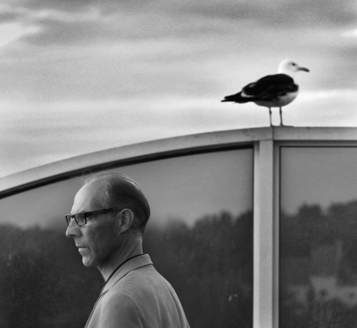 , Владимир Михайлов