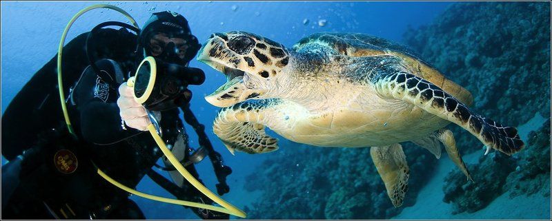 Бадди-партнёры фото превью