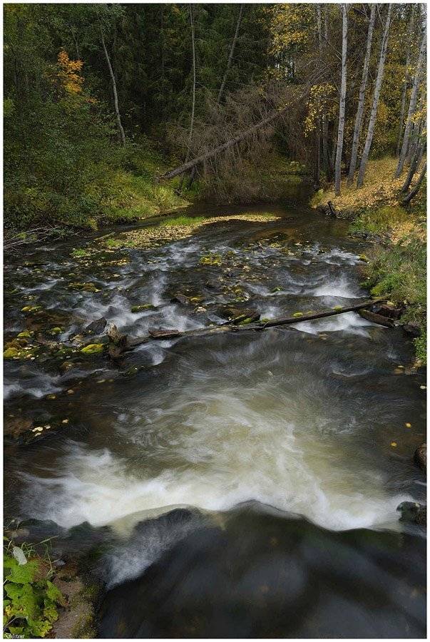 россия_лен.область.выборгский, район_река, давыдовка., Павел Жданов