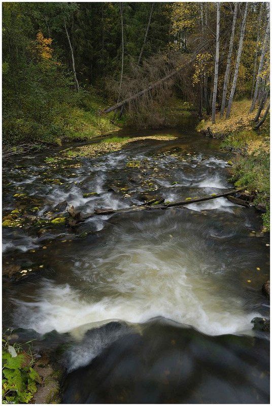 Давыдовка. фото превью