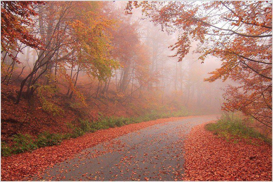 , Kostadin Momchilov