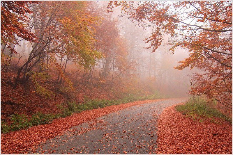 Осень фото превью