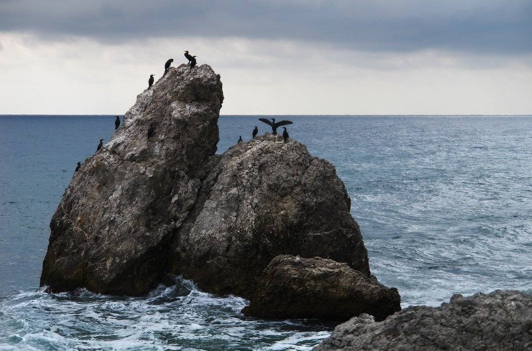 козлов артур, море, камни, бакланы, Kozlov Artur