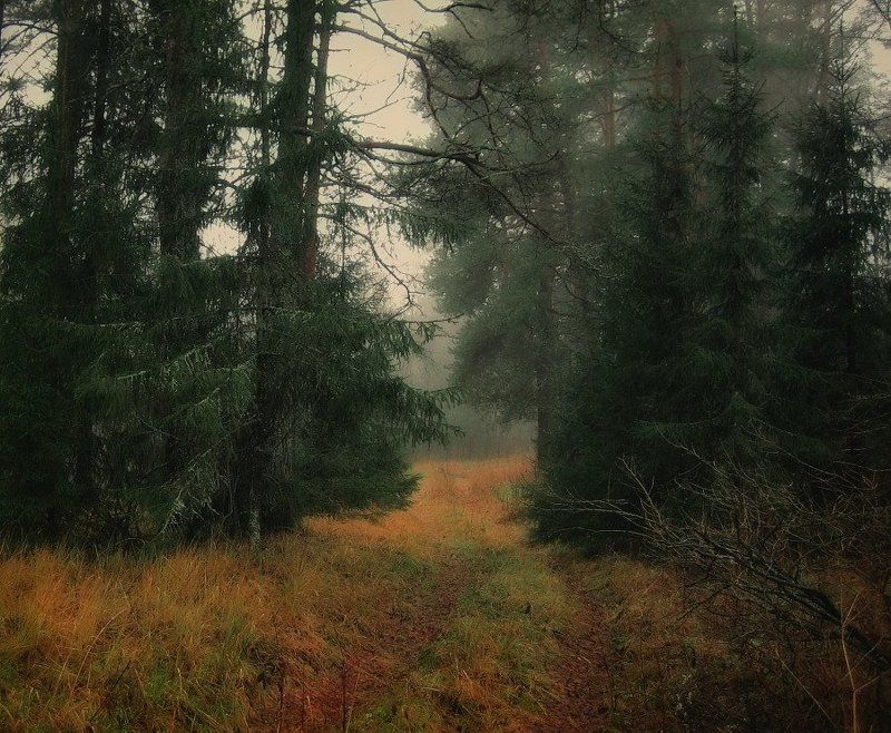 ... фото превью