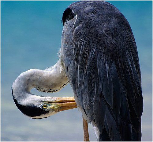 утренние процедуры