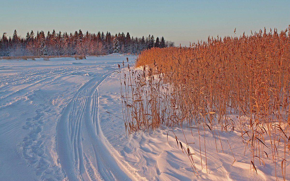 , Андрей Котов