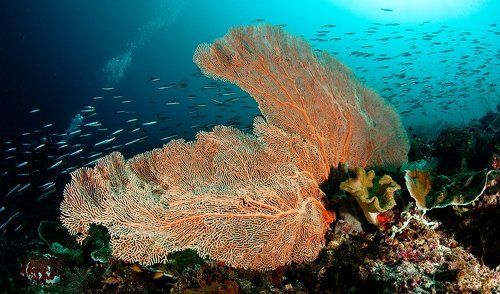 Краски моря