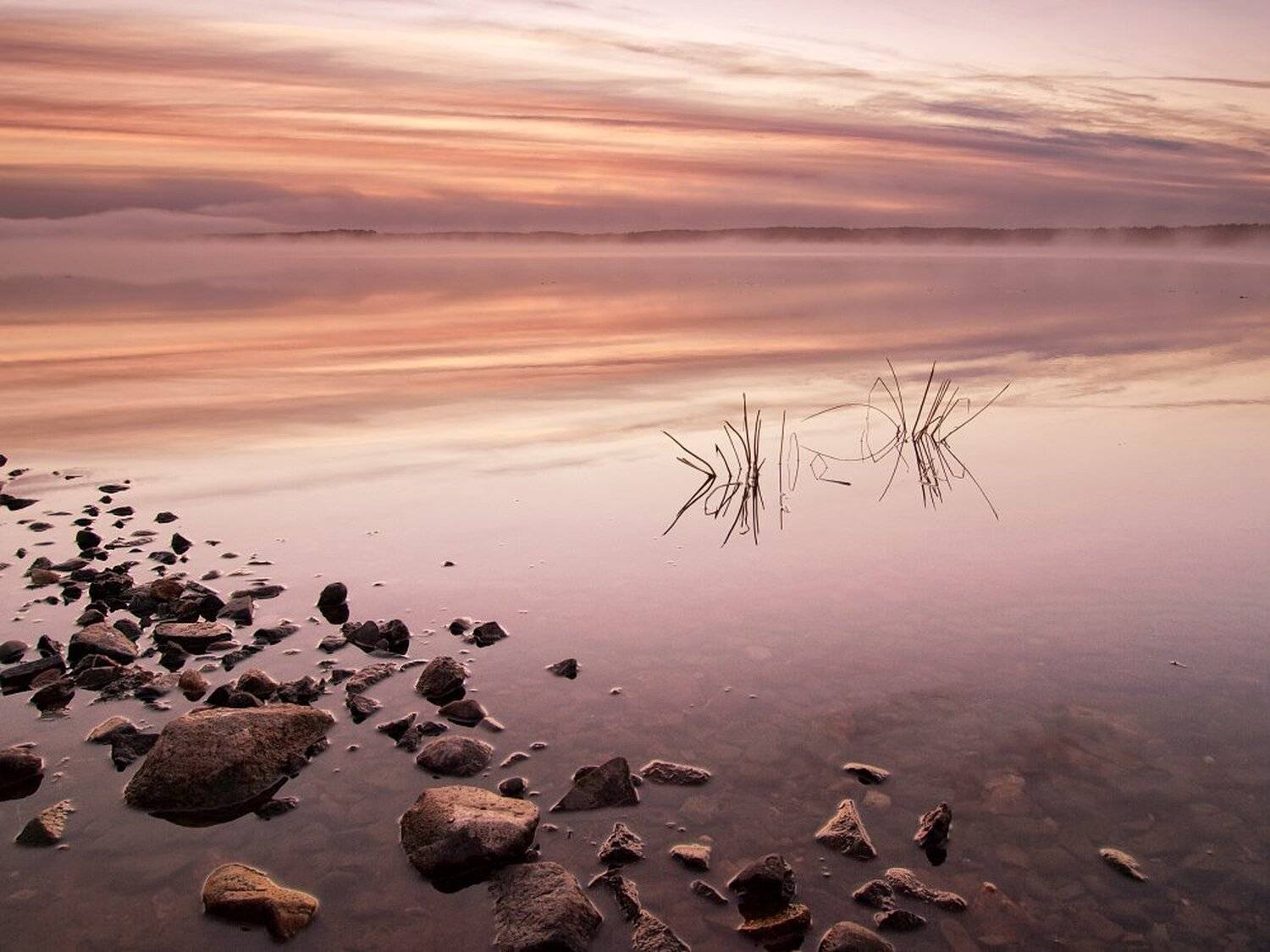 , Максим Евдокимов
