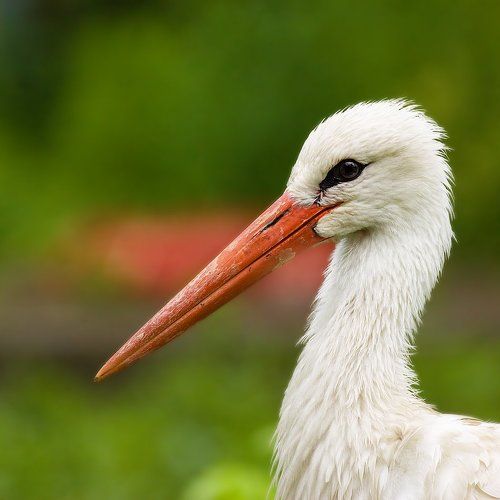 улыбающийся))))