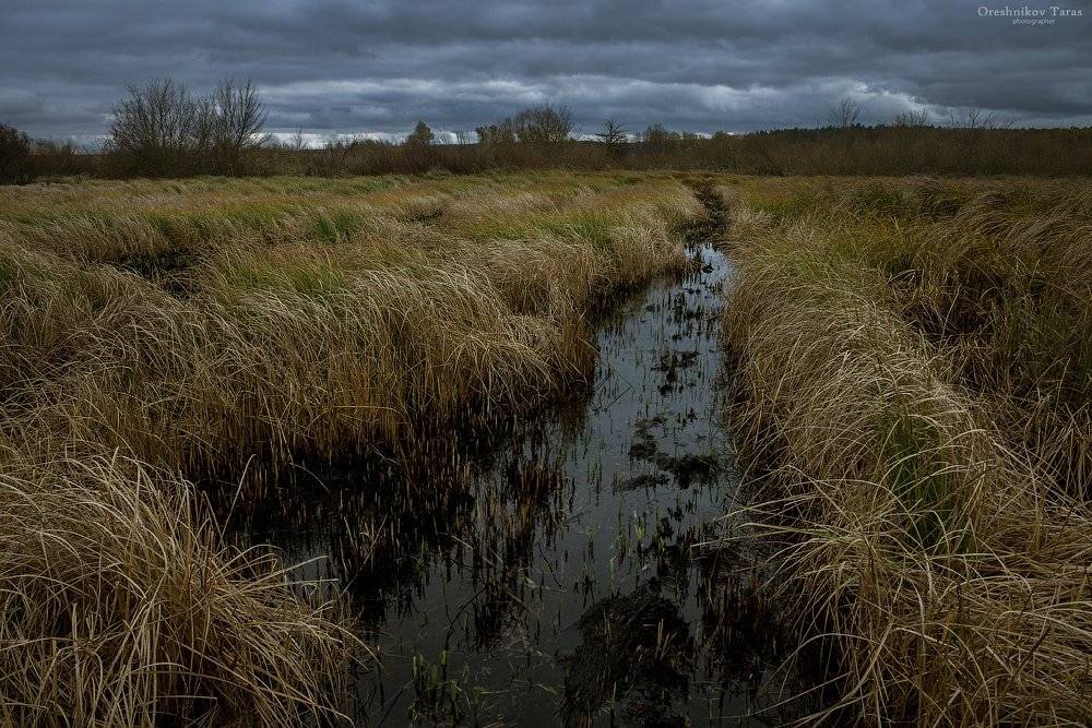 пейзаж,природа,осень,погода,луг,поле,небо,рассвет,утро,, Taras