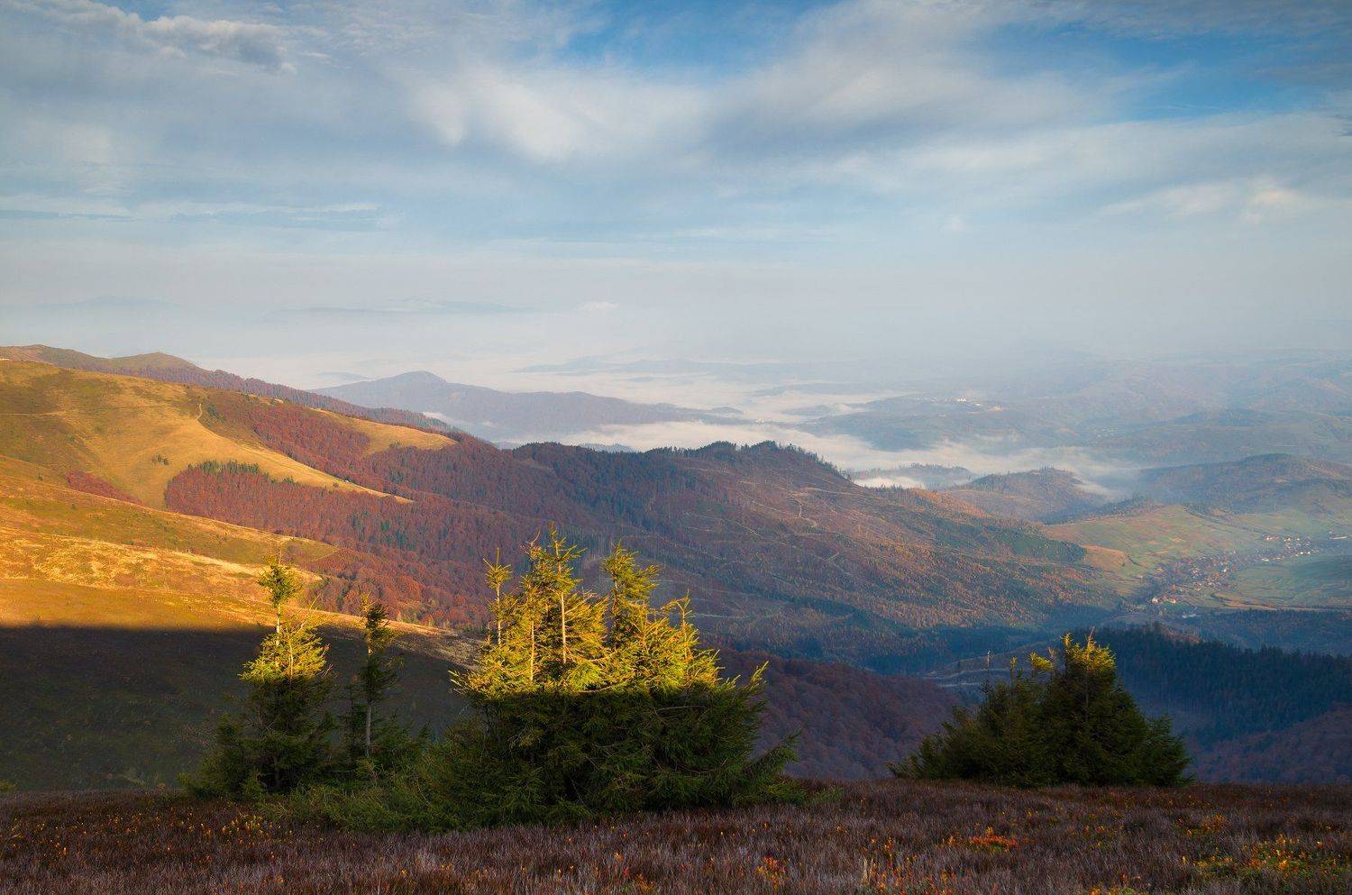 карпаты, боржавский хребет, Зинченко Роман