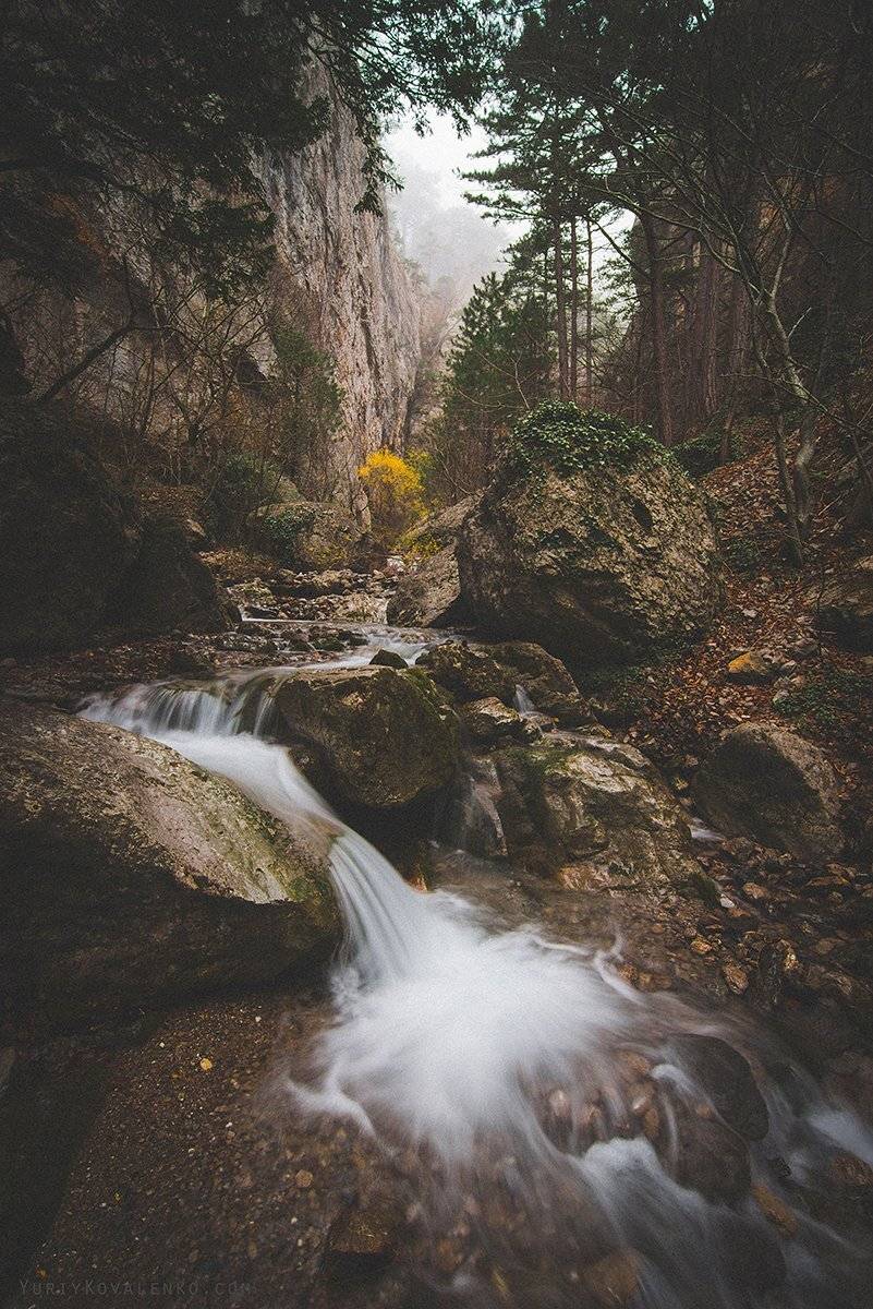 крым, Юрий Коваленко