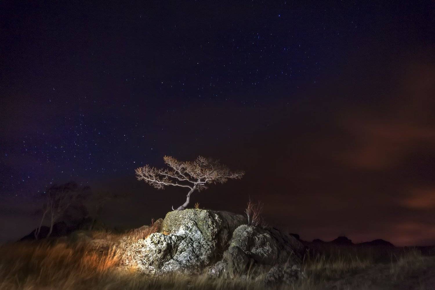 , Леонид Максименко