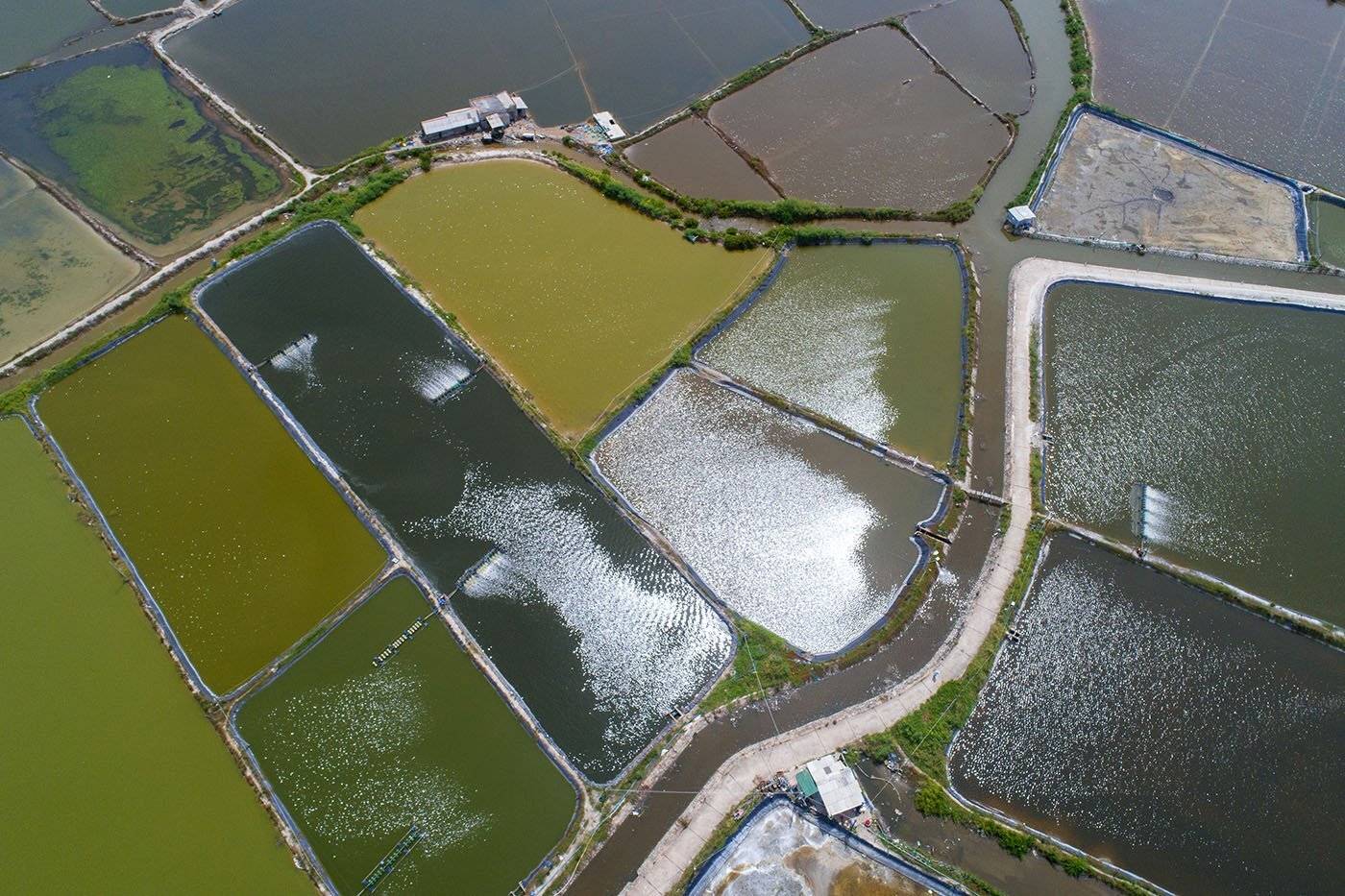 Вьетнам, Ке Га, пруды, вода, сельское хозяйство, агрокультура, аэро, дрон, aerial , Борис Резванцев