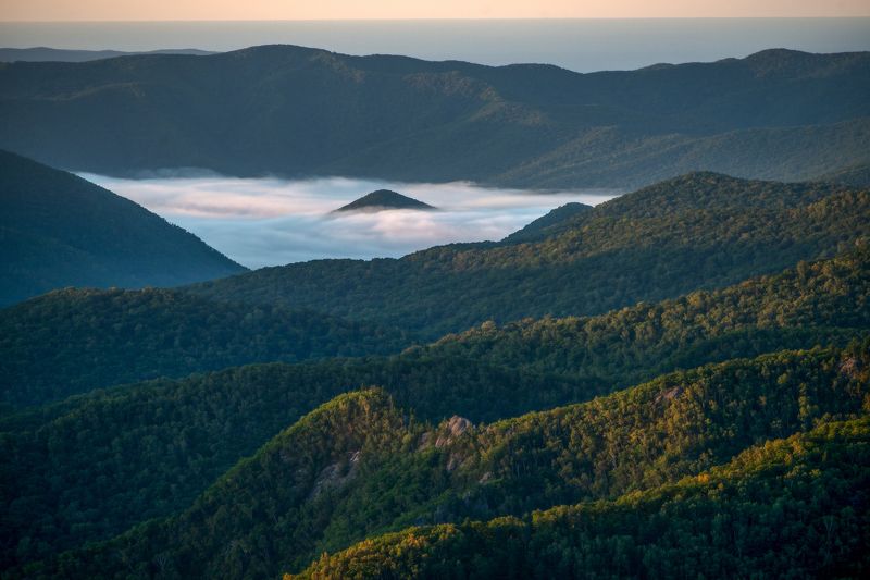 Приморский край, Приморье, Горы, Тайга, Туман Когда спящий проснётся фото превью
