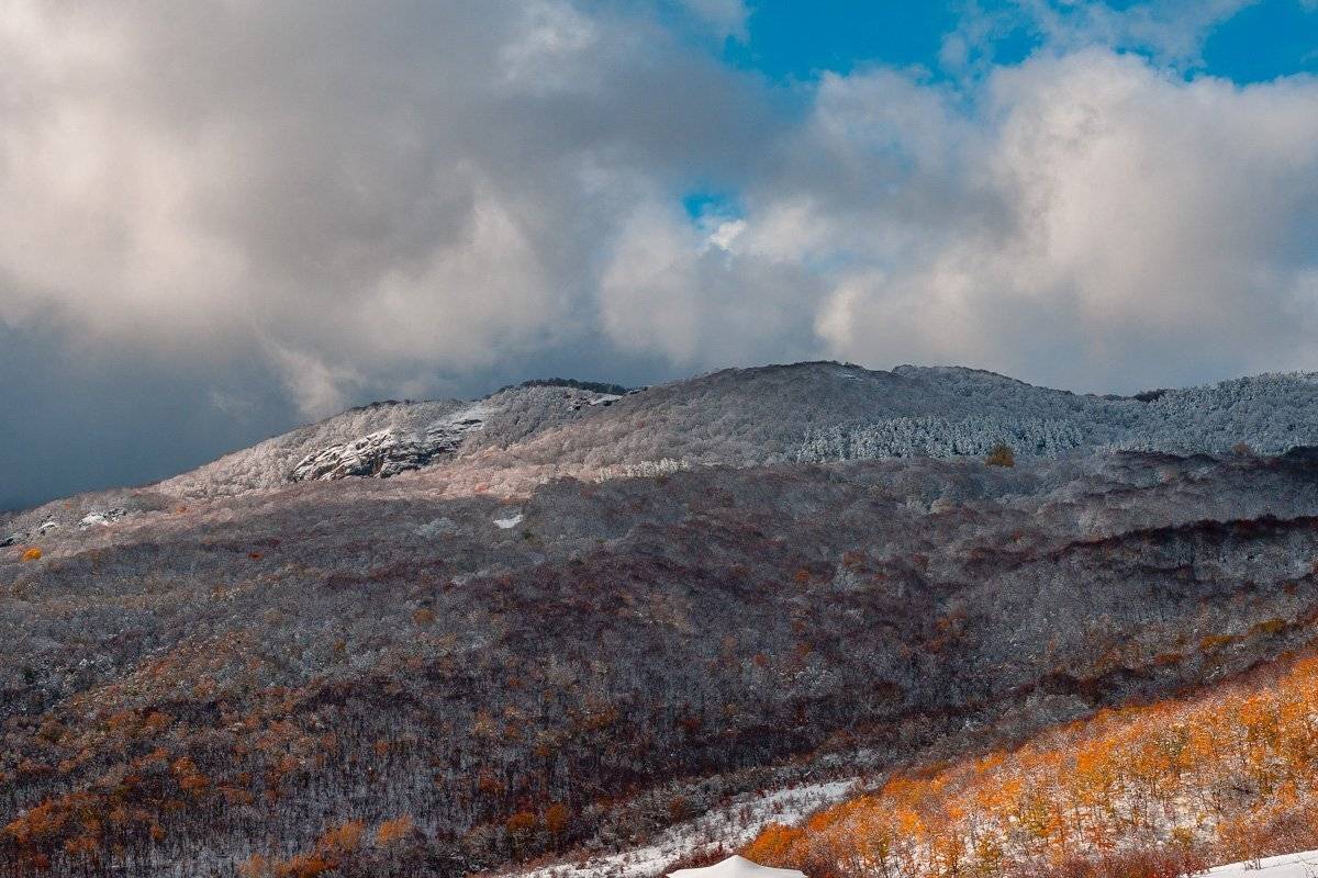 , Олег Логунов