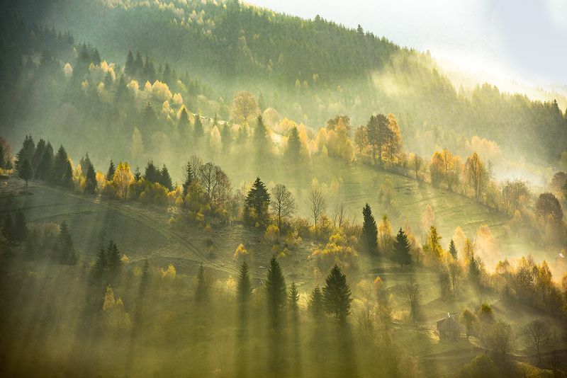 Лучи, которые греют землю фото превью