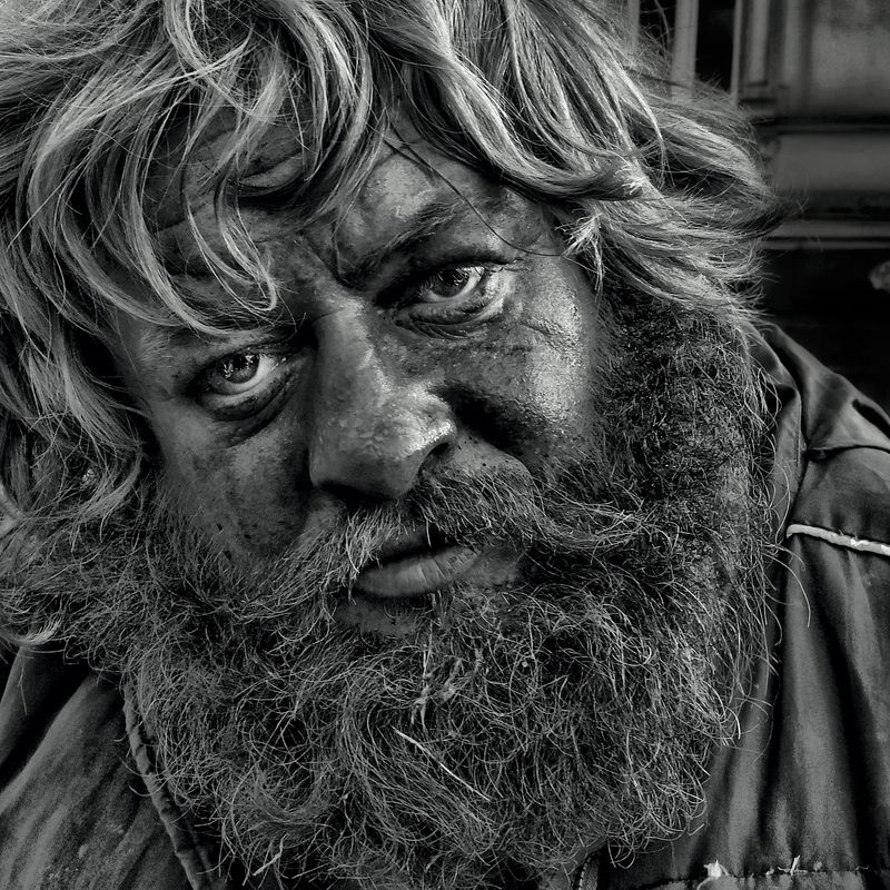 Tom фото превью