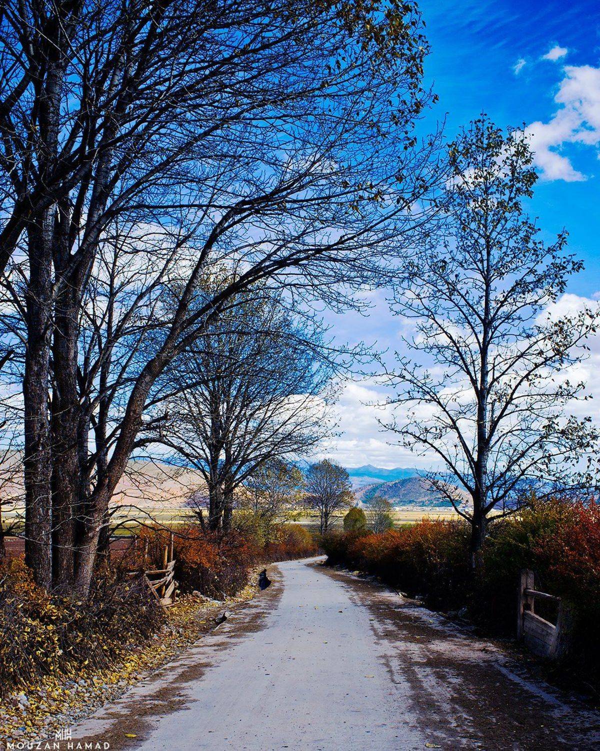 travel, landscape, fujifilm,nature, mouzan