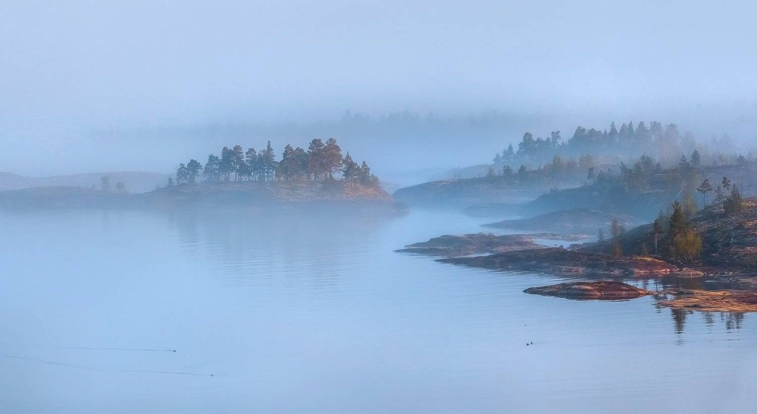 ладожское озеро, карелия, шхеры, лето, туман, скалы, лес, берег, фототур, остров, камни, путешествие, плавание, вода,, Лашков Фёдор