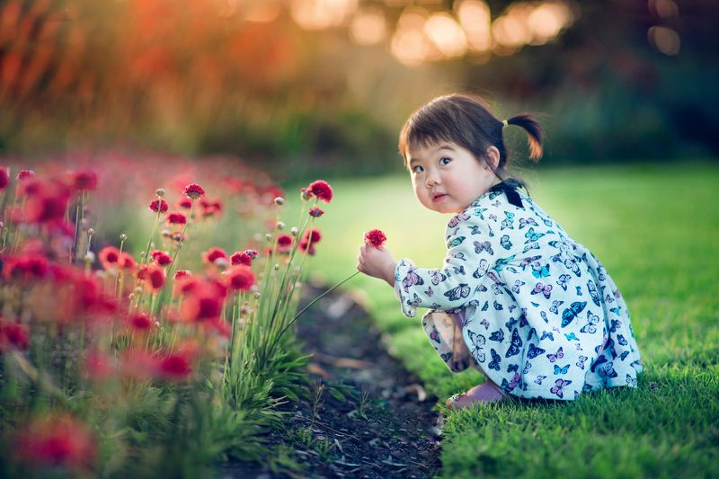 kid, childhood, colorful, natural light, flowers, spring, blossom blossom фото превью