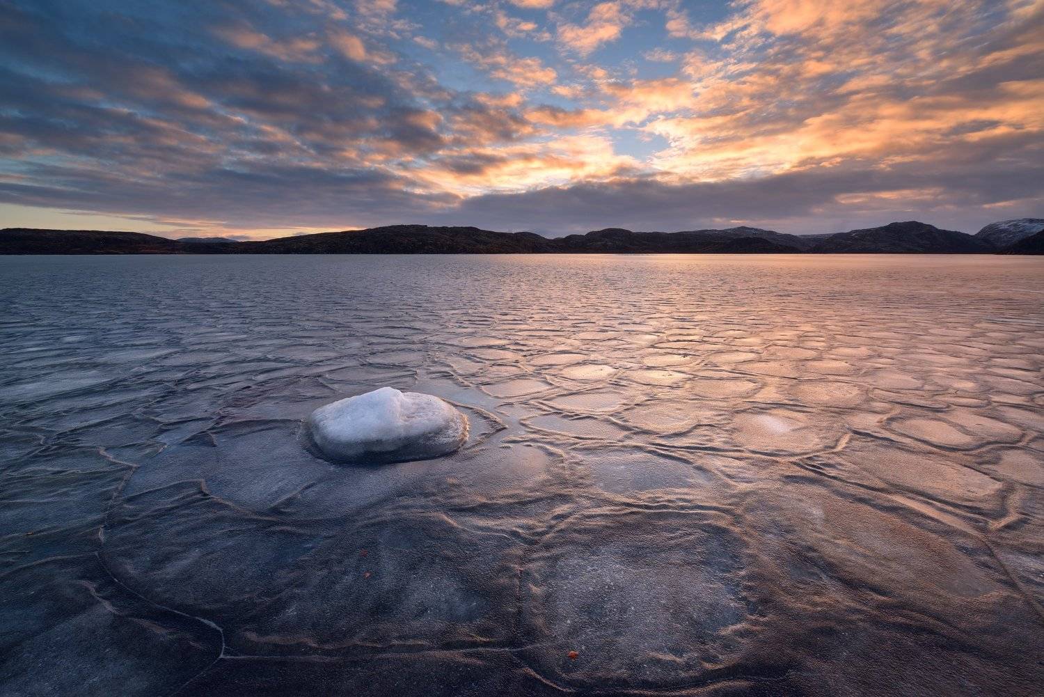 , Максим Евдокимов