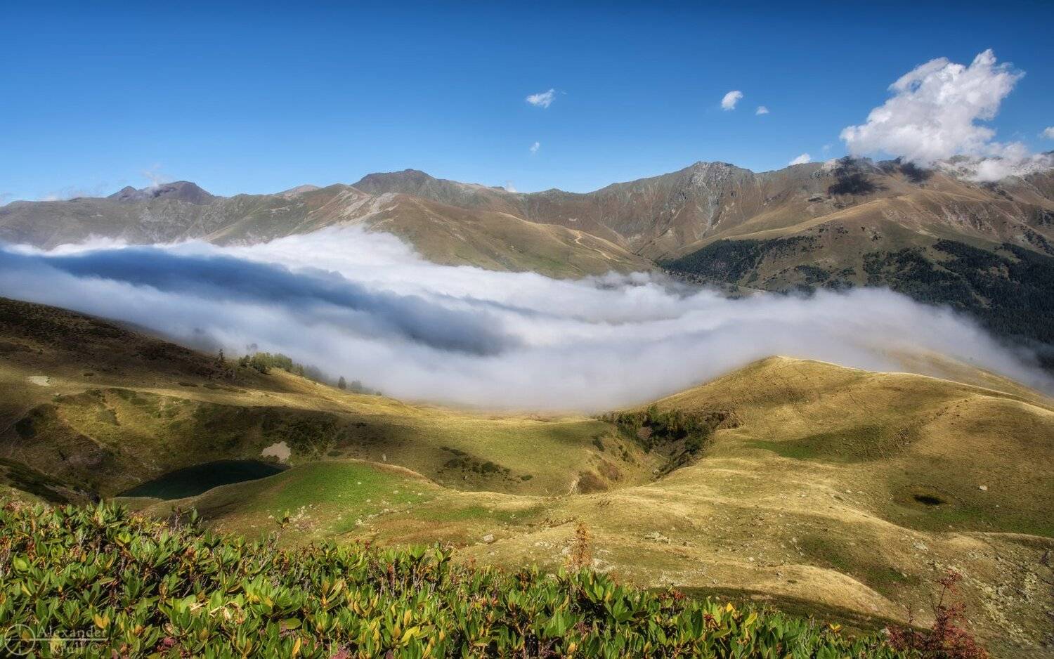 , Александр Круль