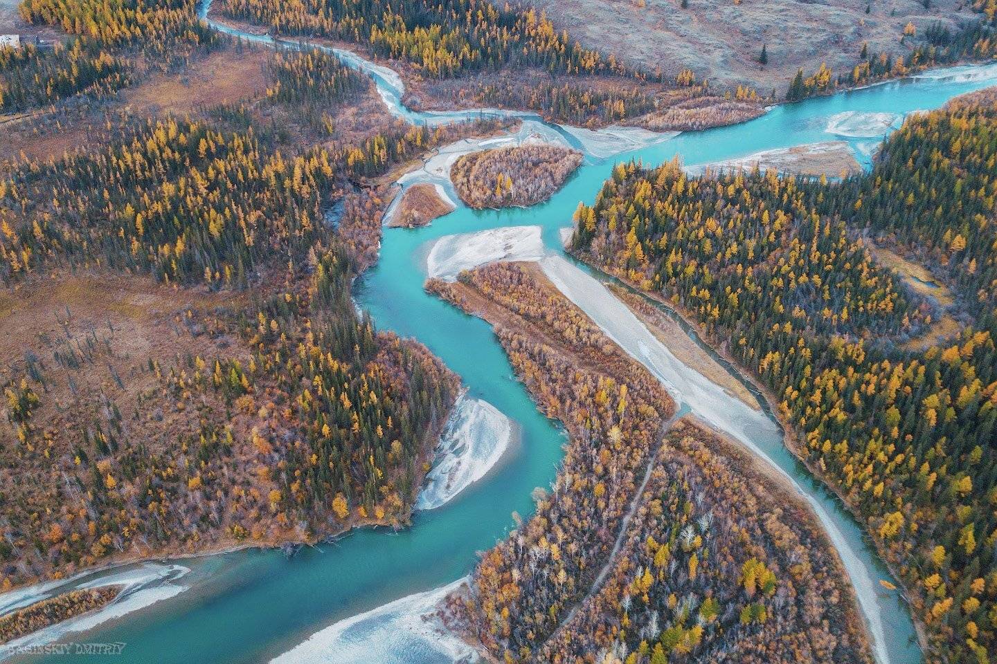 алтай, осень, чуя, река, Dmitriy  Baginskiy