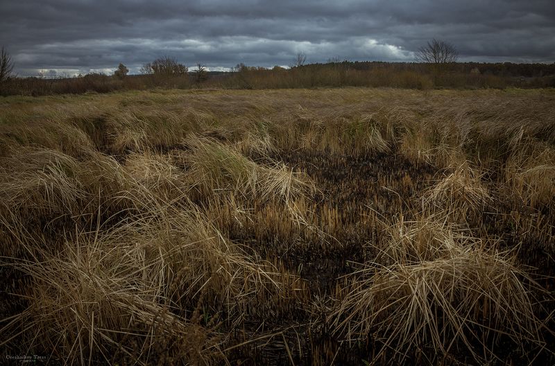 пейзаж,природа,осень,рассвет,утро,  фото превью