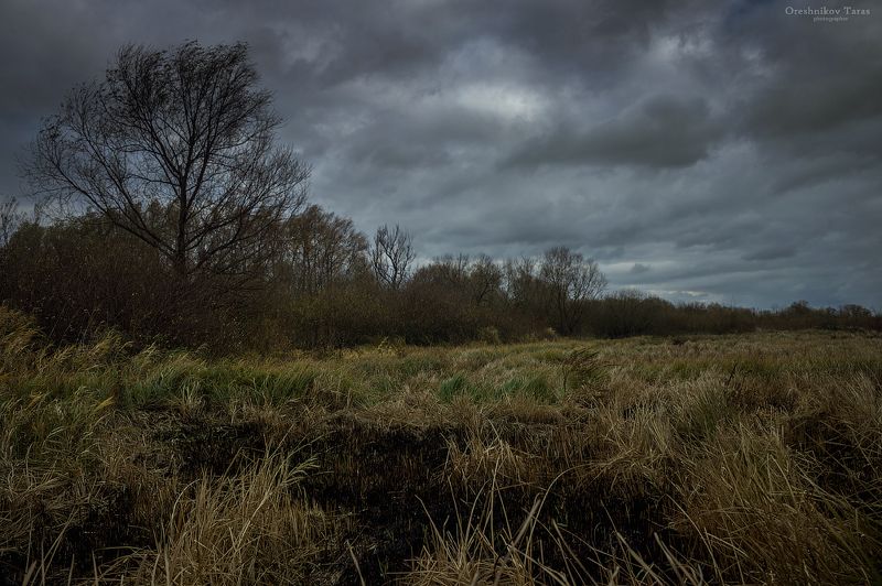 пейзаж,природа,осень,рассвет,утро,  фото превью