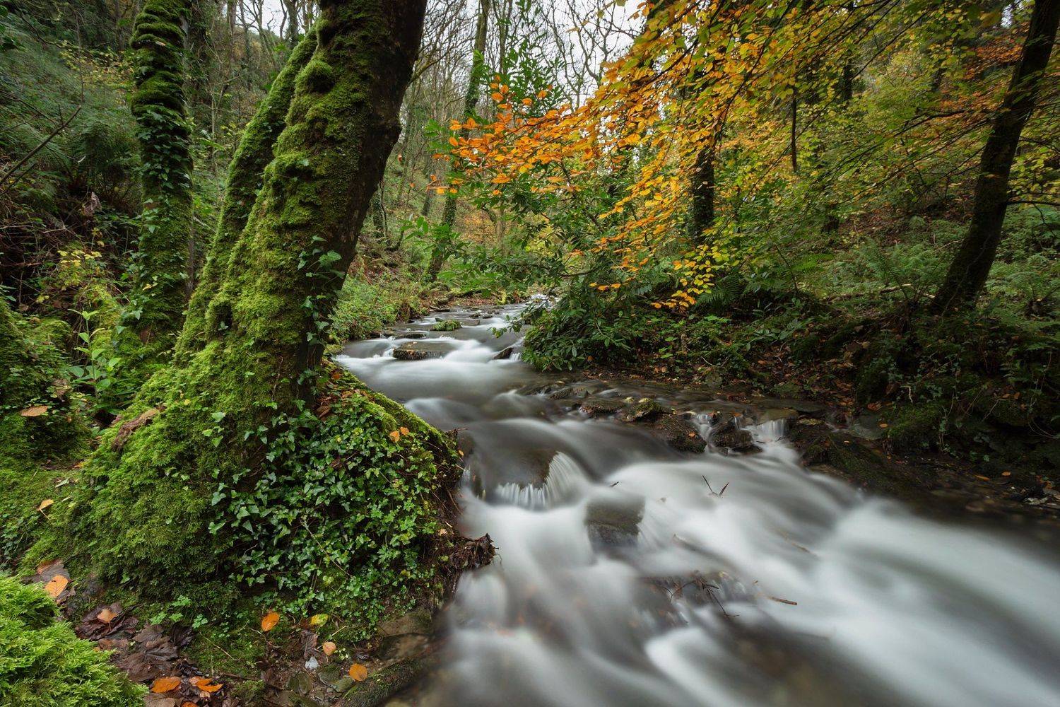 , Александър Сандев