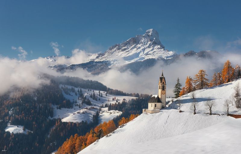 Tolpei фото превью