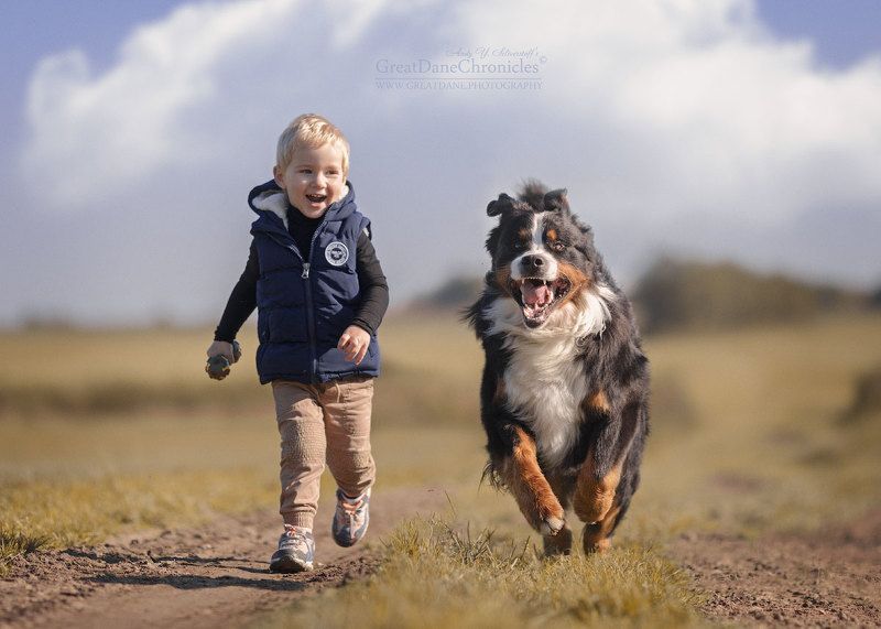 Quickly run, even faster! фото превью