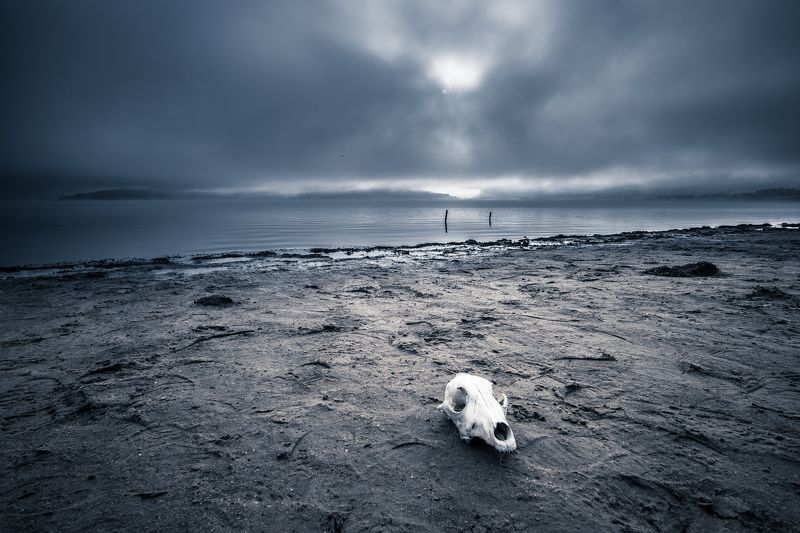 A time to remeber фото превью