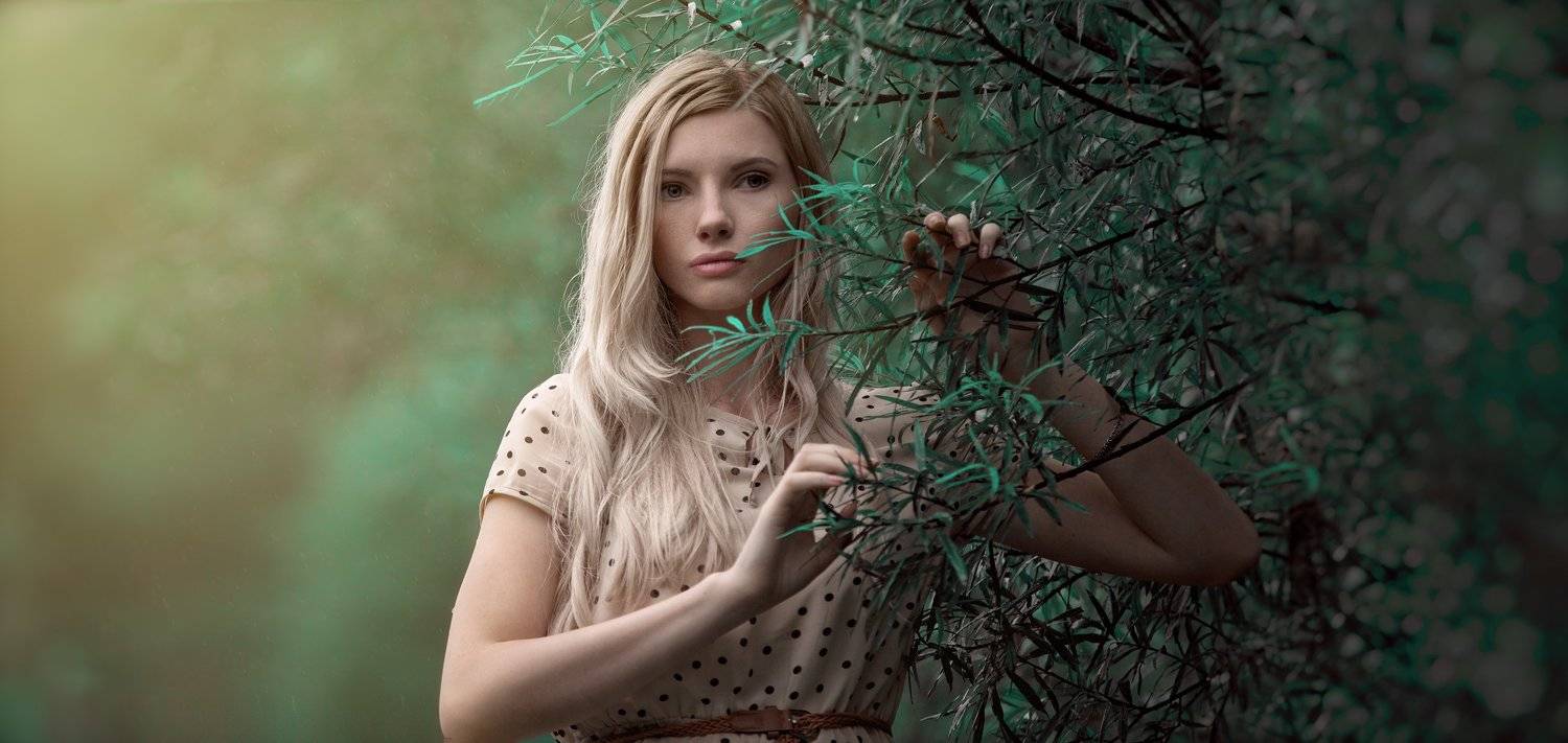 , Треьяков Денис