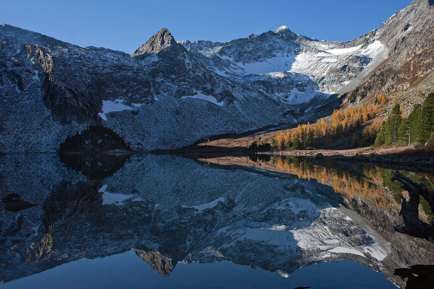 , Алексей Родак