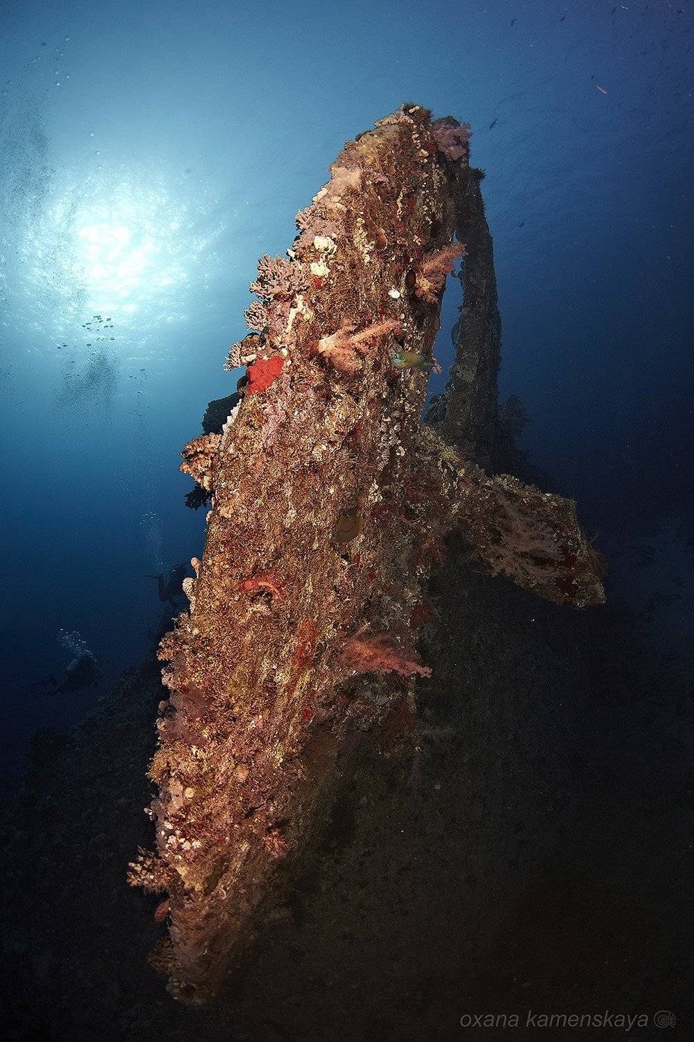 , Оксана Каменская