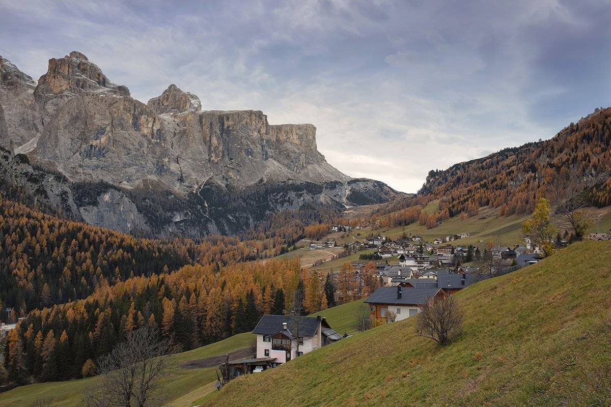 , Игорь Дубровский